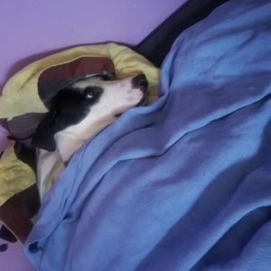 Meet your Posher, Mildred